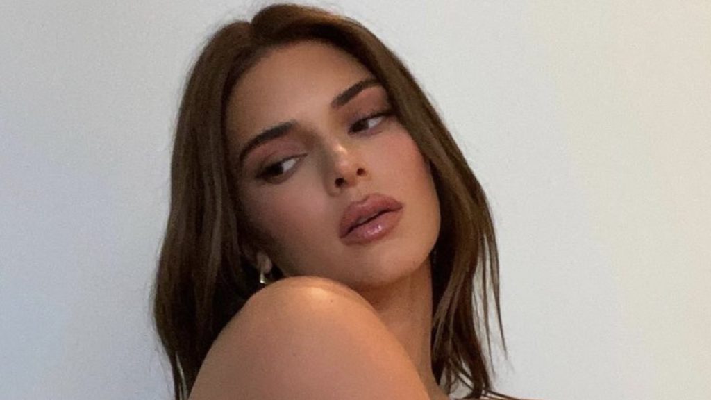 Kendall Jenner Shows Off Her Tummy In A Wild Racy Lingerie Shoot