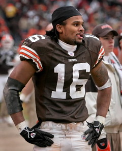 josh cribbs jersey