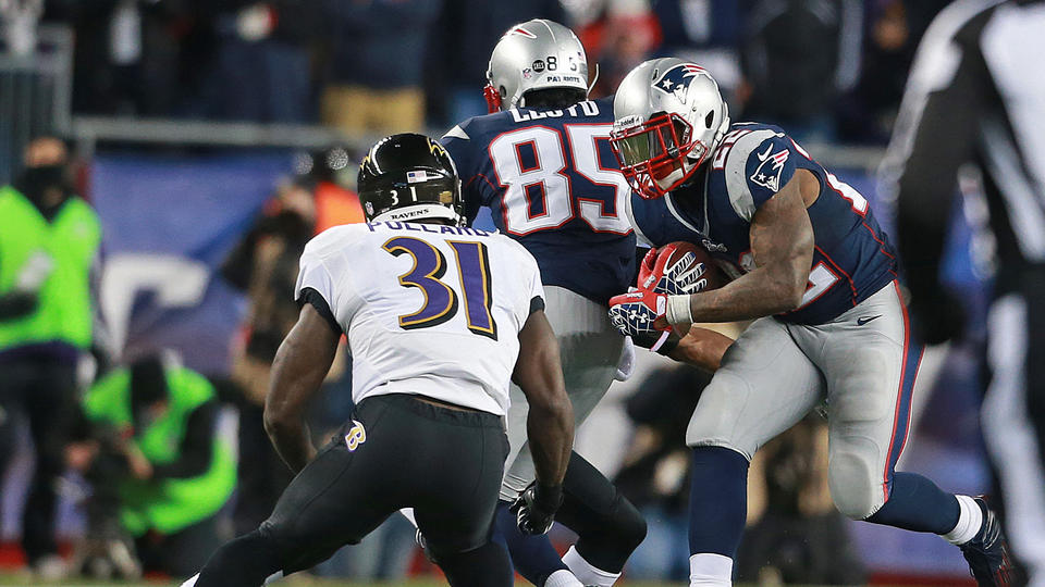 Bernard Pollard Hopes Stevan Ridley Is Alright - BlackSportsOnline