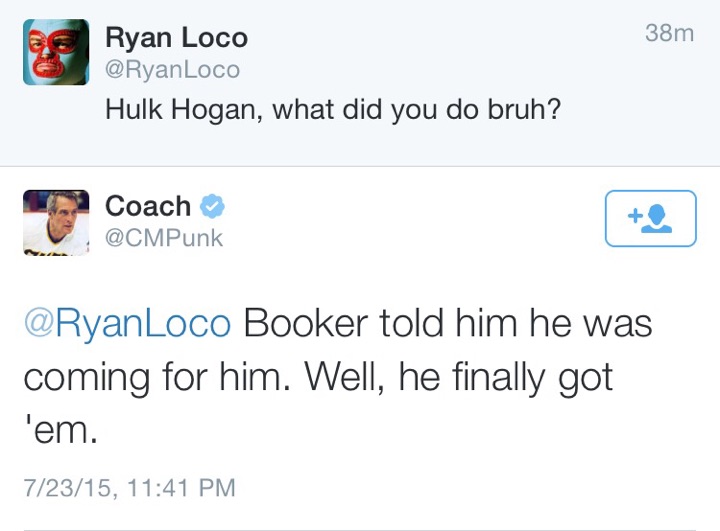 CM Punk Hogan