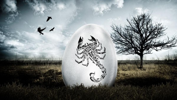 20160323_Eggs_sting--2c1bfaab1cb0d5537d4ecd4c3ce59c8c