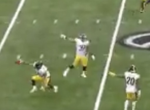 Watch Steelers Celebrate A Fake Punt 1st Down That They Actually Didn't ...