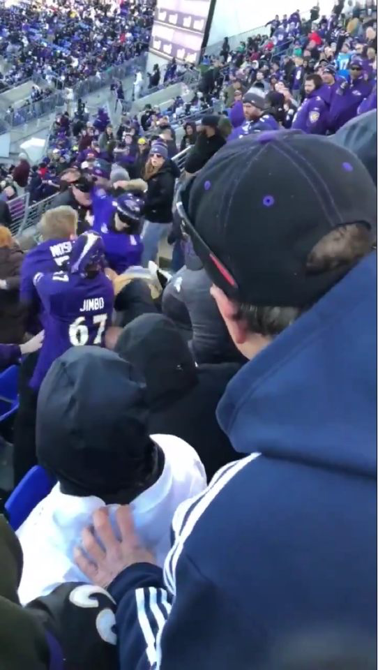 Watch Thug Ravens Fans Fight As Their Team Is Eliminated From The ...