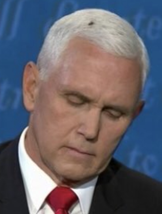Video Fly Goes Viral For Landing On Mike Pence S Head During Vice President Debate Lebron