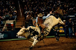 Watch Texas Bull Rider Get Viciously Kicked In The Face By Bull