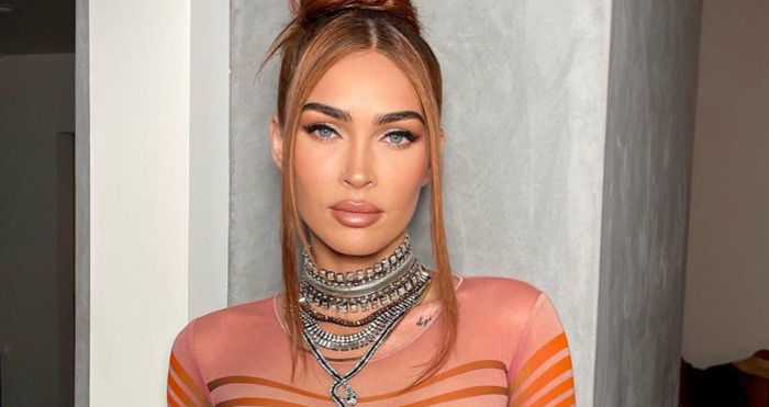 Megan Fox Drops Sexy Poses In a Completely See-Through Dress