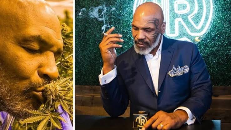 Everything About Mike Tyson’s Weed Boxing Championship In Thailand