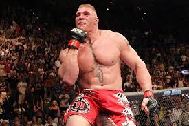 Why Did Brock Lesnar Stop Fighting In UFC?