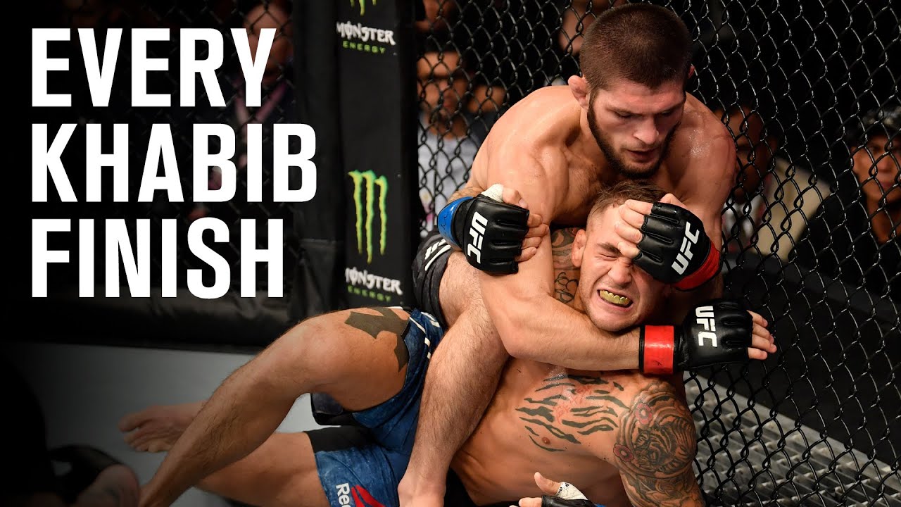 How Many Fights Did Khabib Nurmagomedov Win By Finishes?