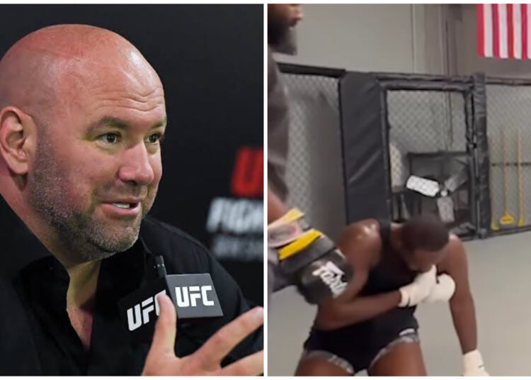 UFC 295: Dana White Reveals Why Jon Jones Pulled Out Of The Stipe ...