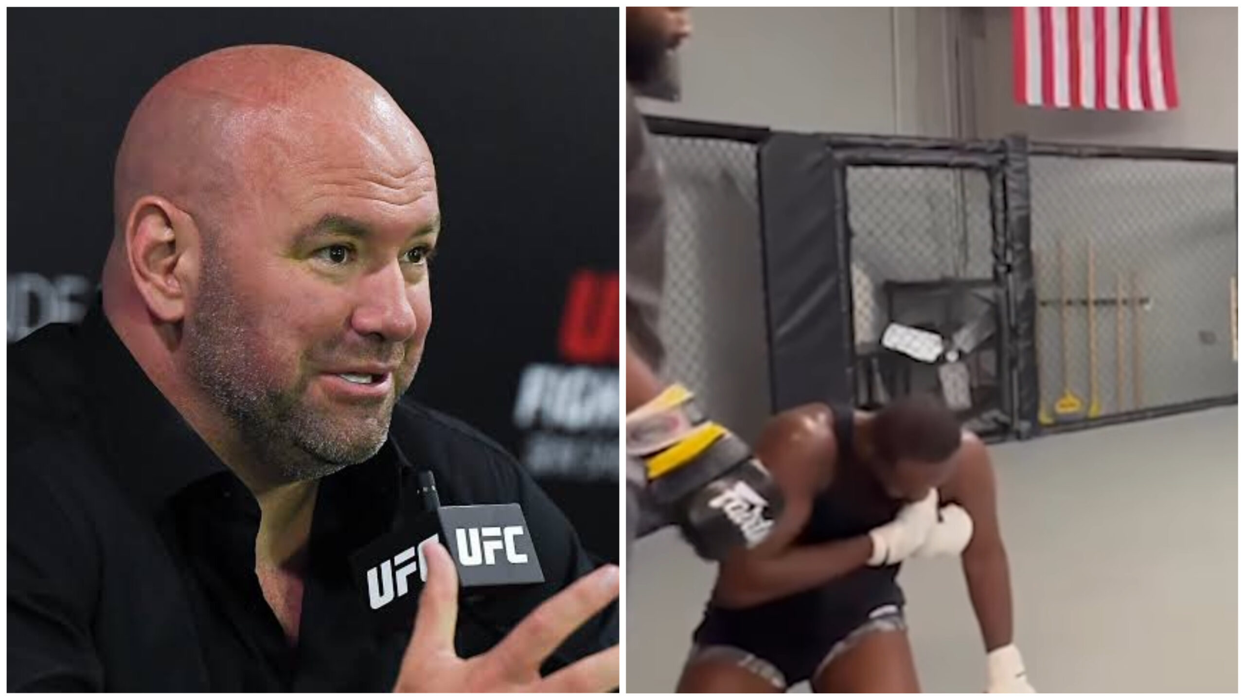 UFC 295: Dana White Reveals Why Jon Jones Pulled Out Of The Stipe Miocic Title Fight