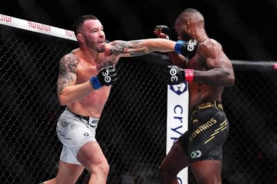 UFC 296