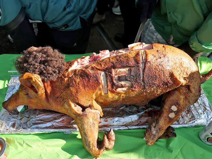 Eagles Fans Roast Patrick Mahomes Themed Pig in Parade