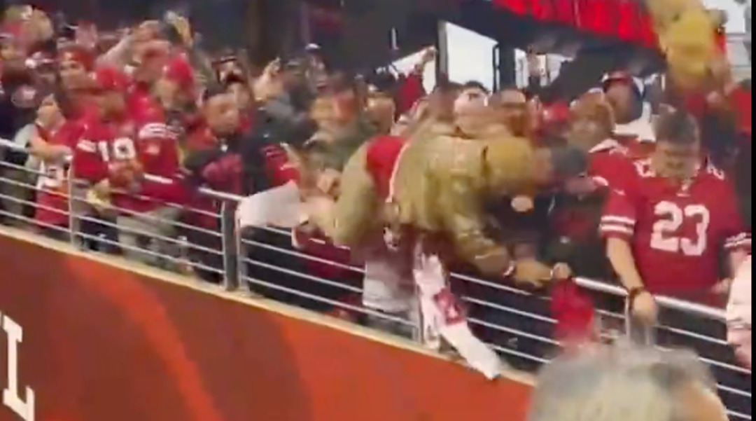 Watch 49ers Fan Fall Out Of Stands While Trying To Catch Game Used ...