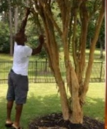 Adrian Peterson Switch 10