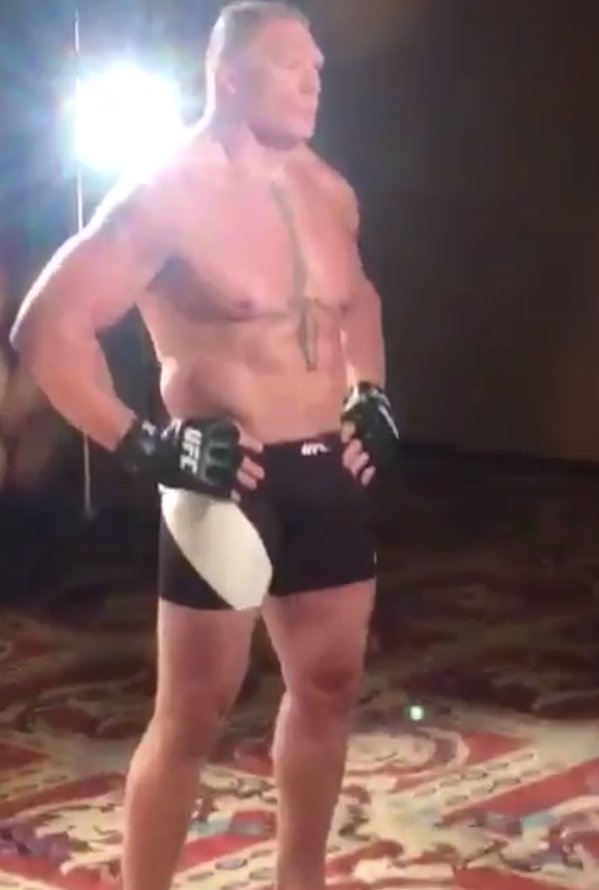 Brock LEsnar UFC