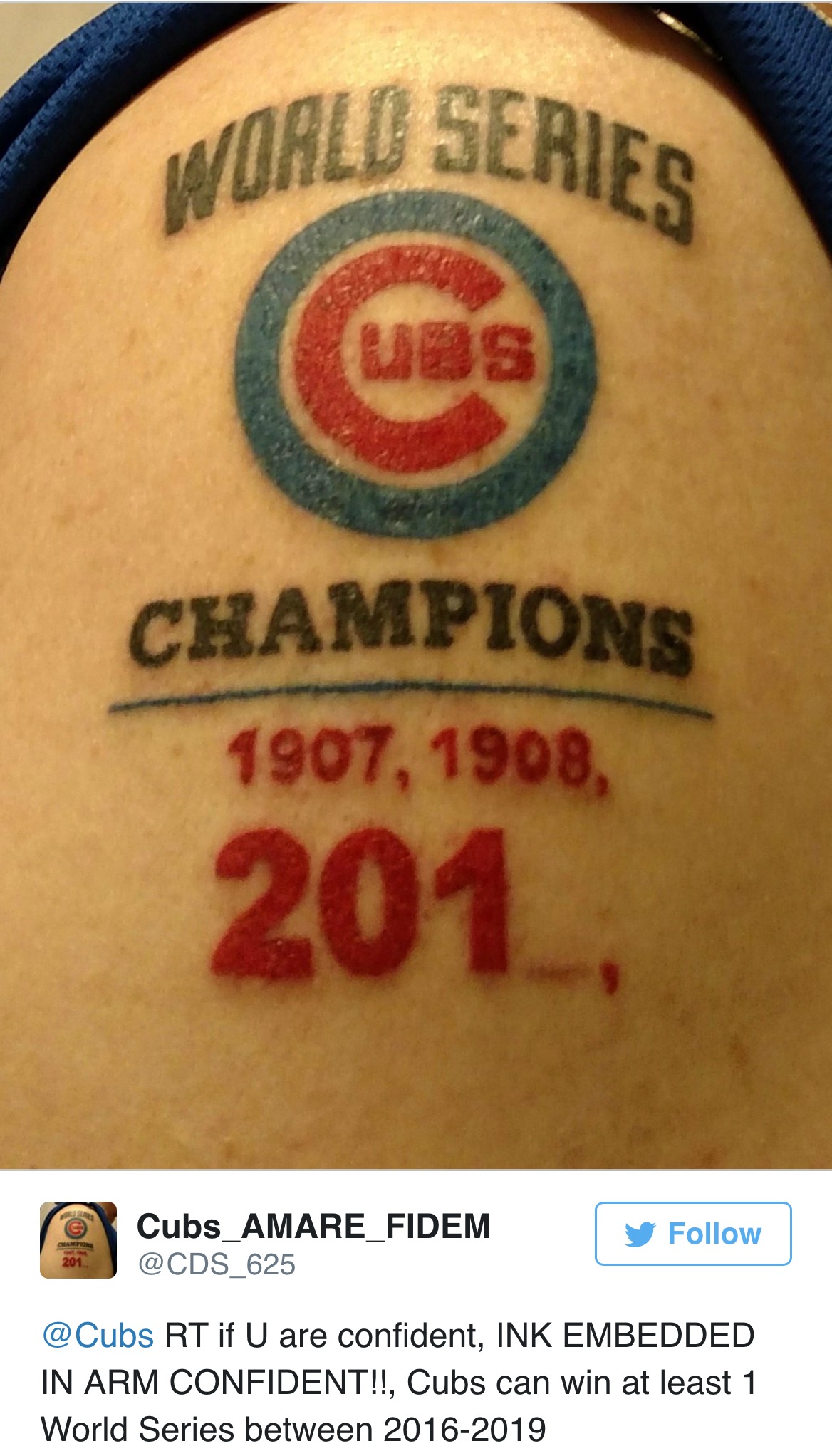 CubsFan