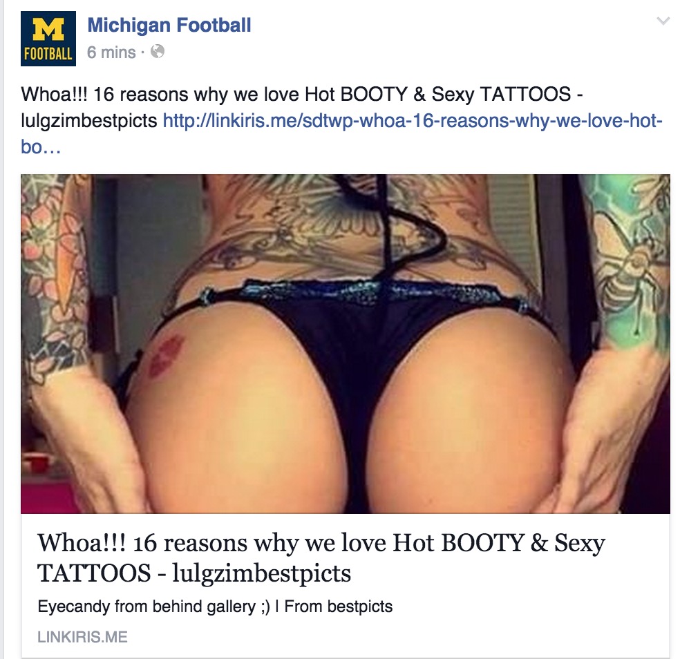 Michigan Football FB 2