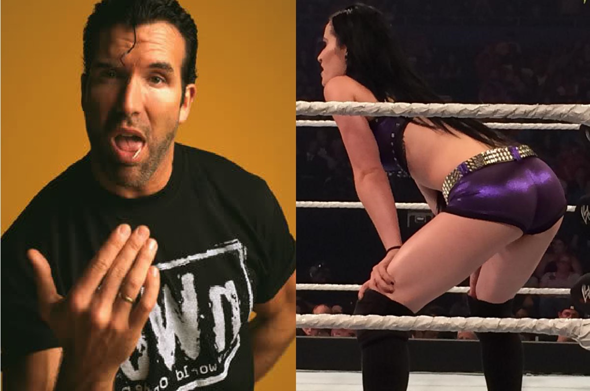 Scott Hall Paige WWE