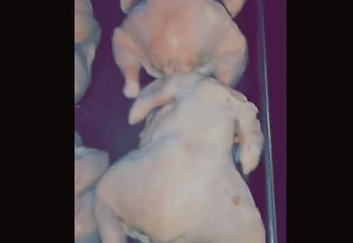 blac-chyna-cooking-hens-1