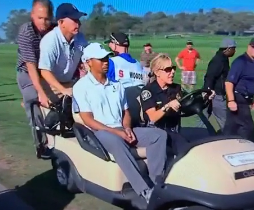 tiger-withdraws