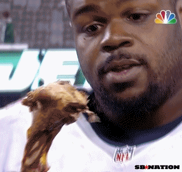 Vince Wilfork Turkey Leg
