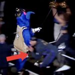 Lakers Jaxon Hayes Suspended For Shoulder Blocking Wizards Mascot