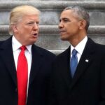 The Art of Baking: From Classic Bread to Artisan Pastries