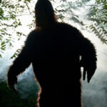 10ft Tall Beasts aka Bigfoot Making Grunting Noises In Ohio
