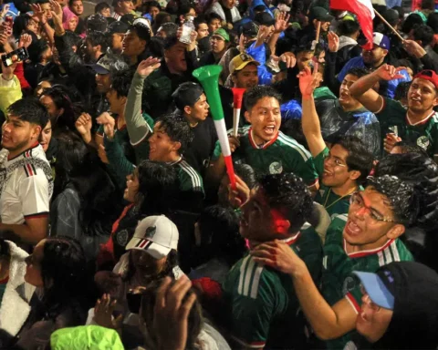 Crowd of soccer fans cheering in green jerseys, arms raised, at a game.