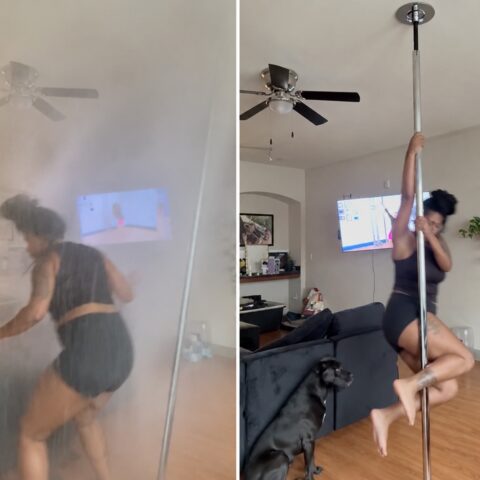 Woman pole-dancing indoors in a living room, holding a chrome pole with a ceiling mount, TV on the wall, and a dog watching nearby.